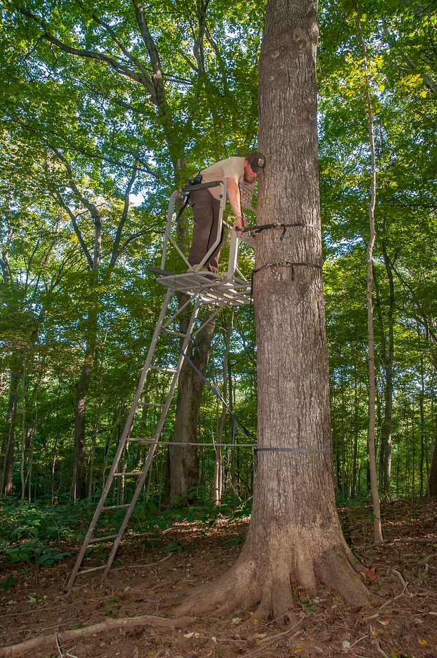 NCTC land management specialist inspecting deer stand for safety-1