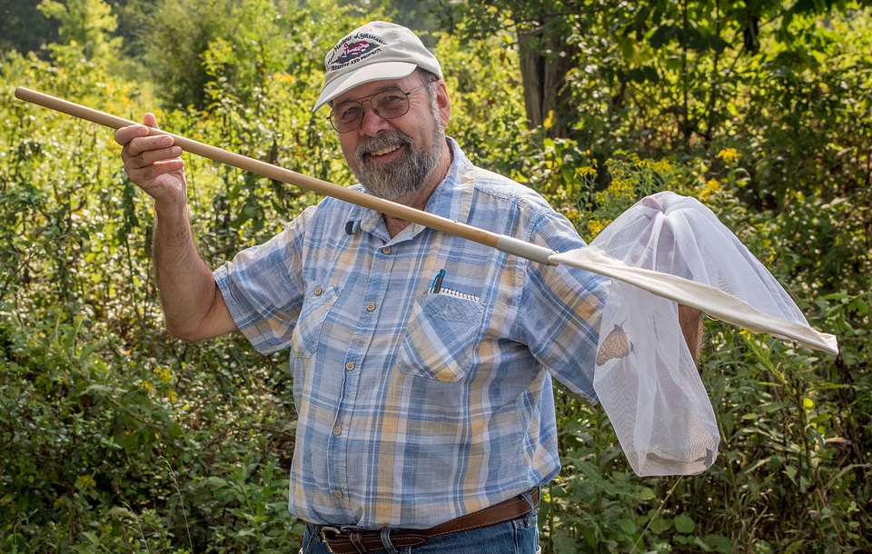 Volunteer netting monarch butterfly-2