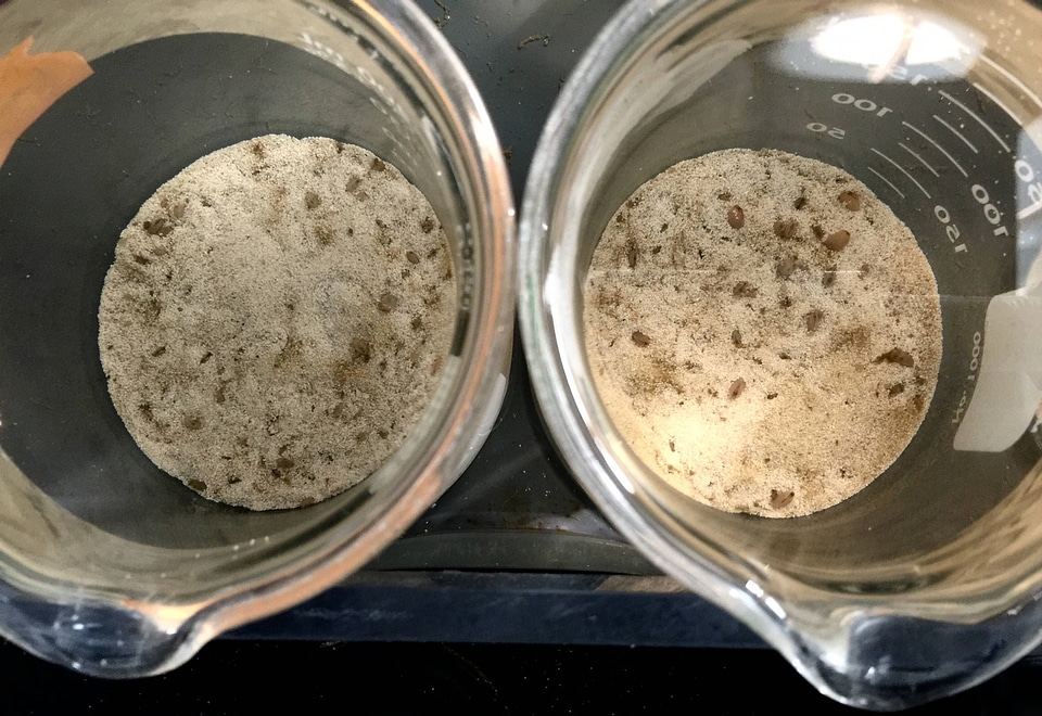 Glass culture beakers