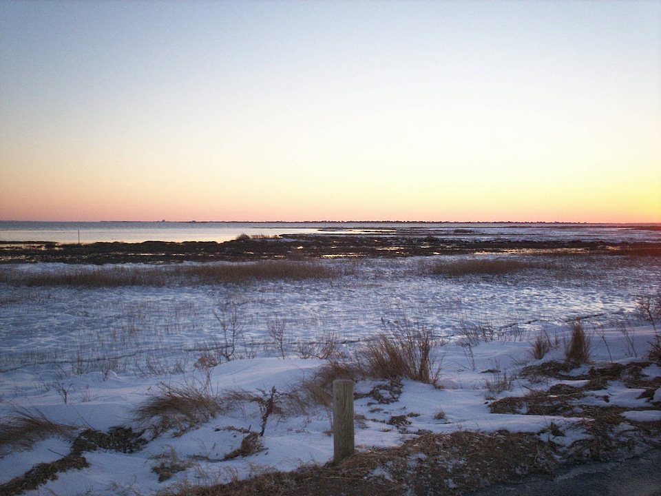 Snow on a wetland area