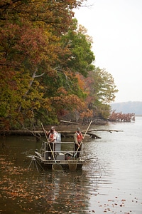 Electrofishing for Northern Snakehead-2