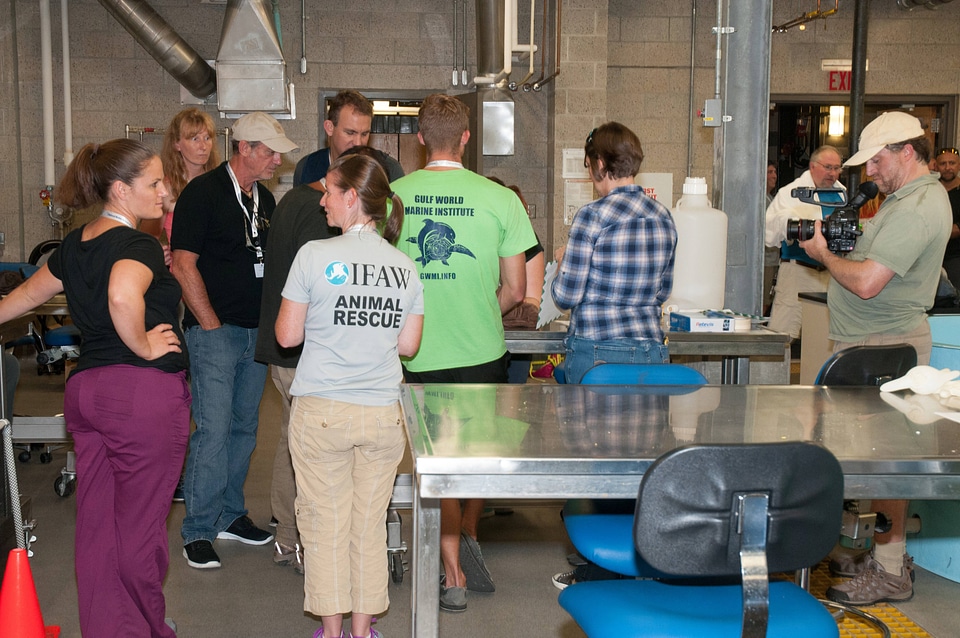 Marine Mammal Stranding Course at NCTC-1