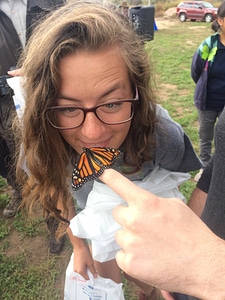 An intern looks closely at a Monarch butterfly being released
