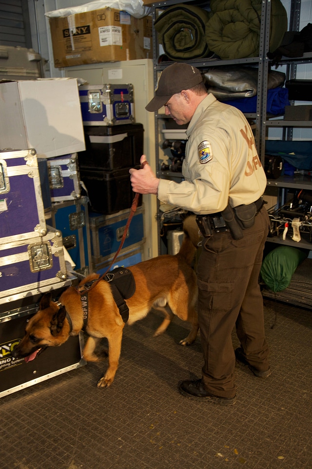 Law enforcement with K-9-1