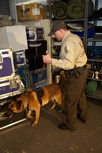 Law enforcement with K-9-1