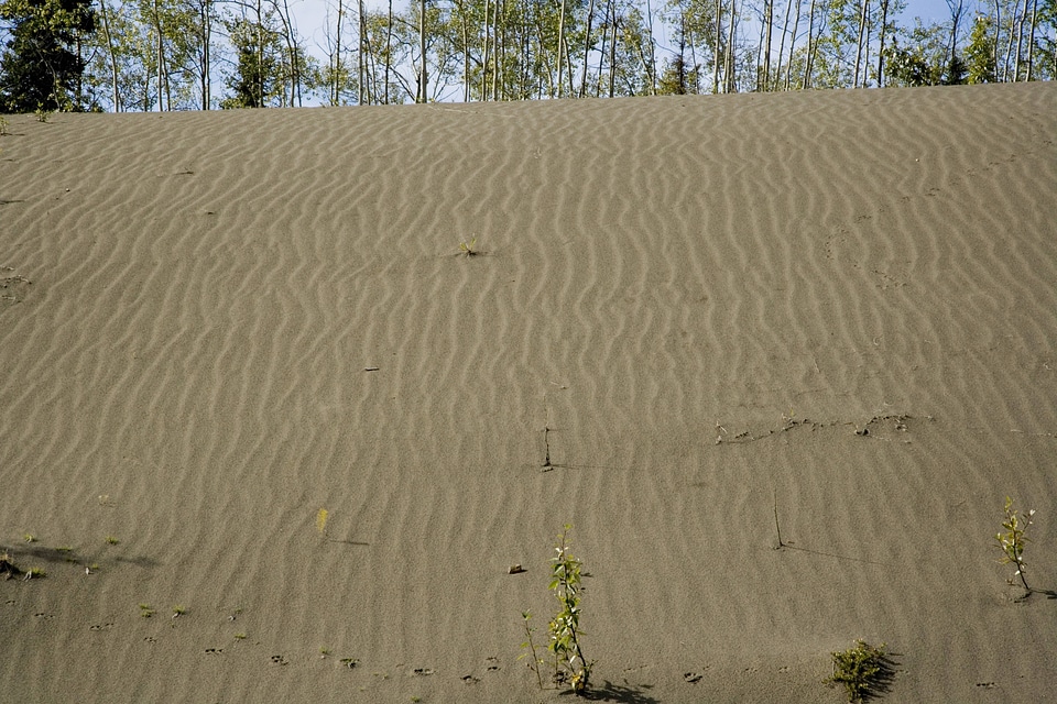 Sandy hill with some vegitation