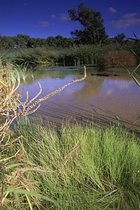 San Berdnardino National Wildlife Refuge scenic
