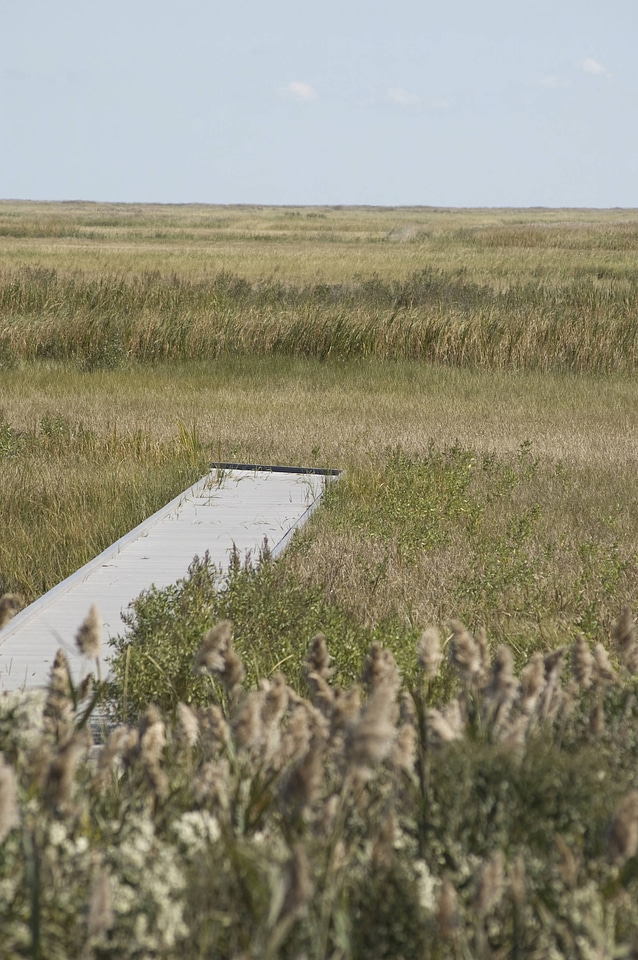 Refuge impoundment-1