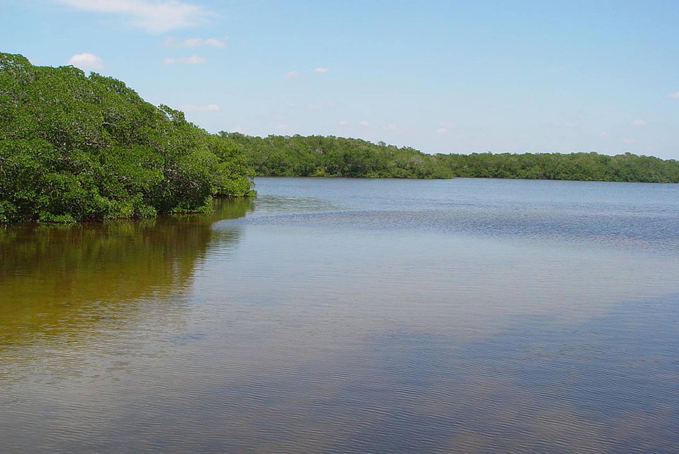 Ding Darling National Wildlife Refuge-7