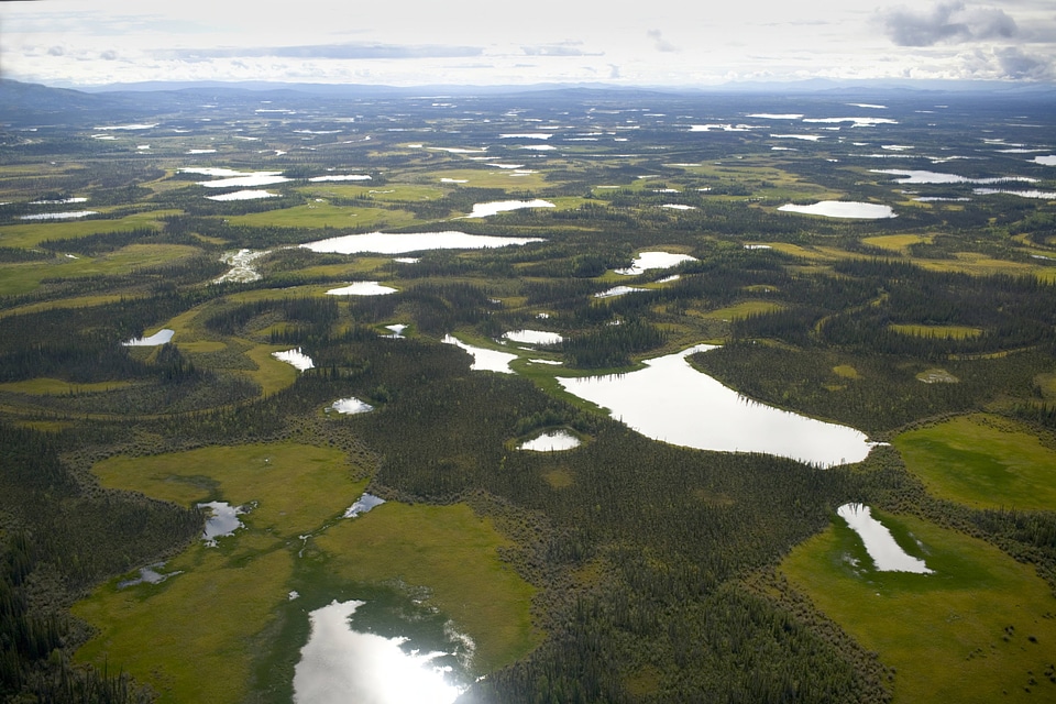 Aerial of ponds and lakes at Tetlin National Wildlife Refuge