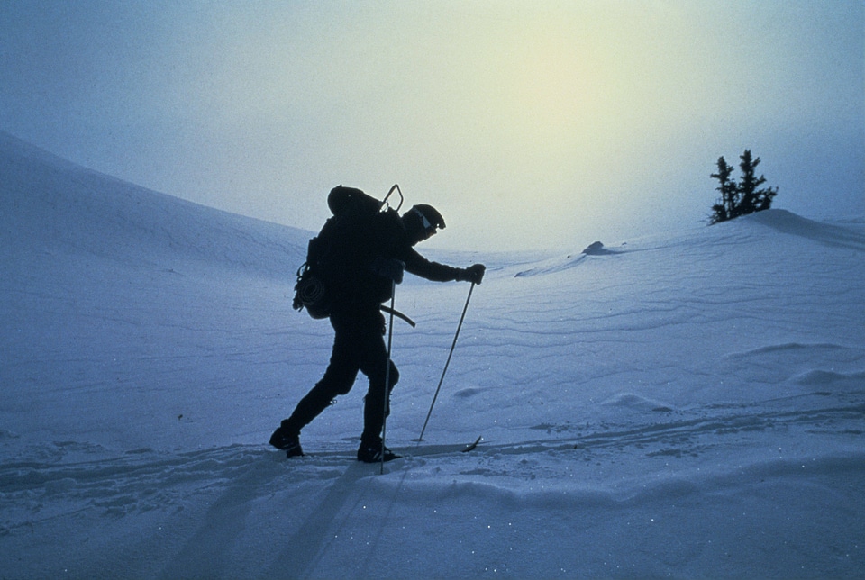 Cross country skier