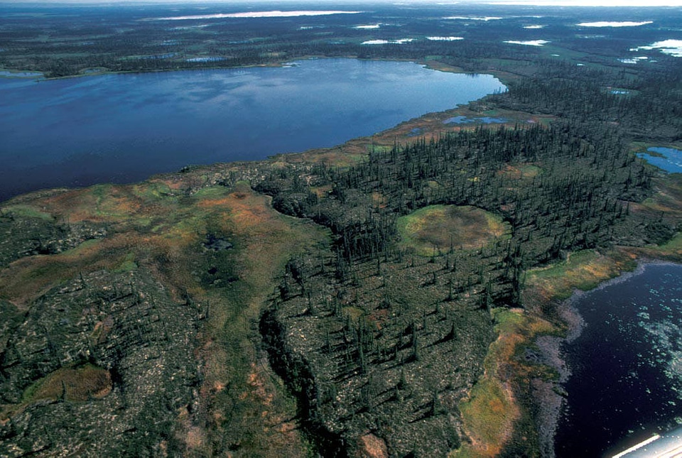 Area between  6 Mile Lake and Mud River