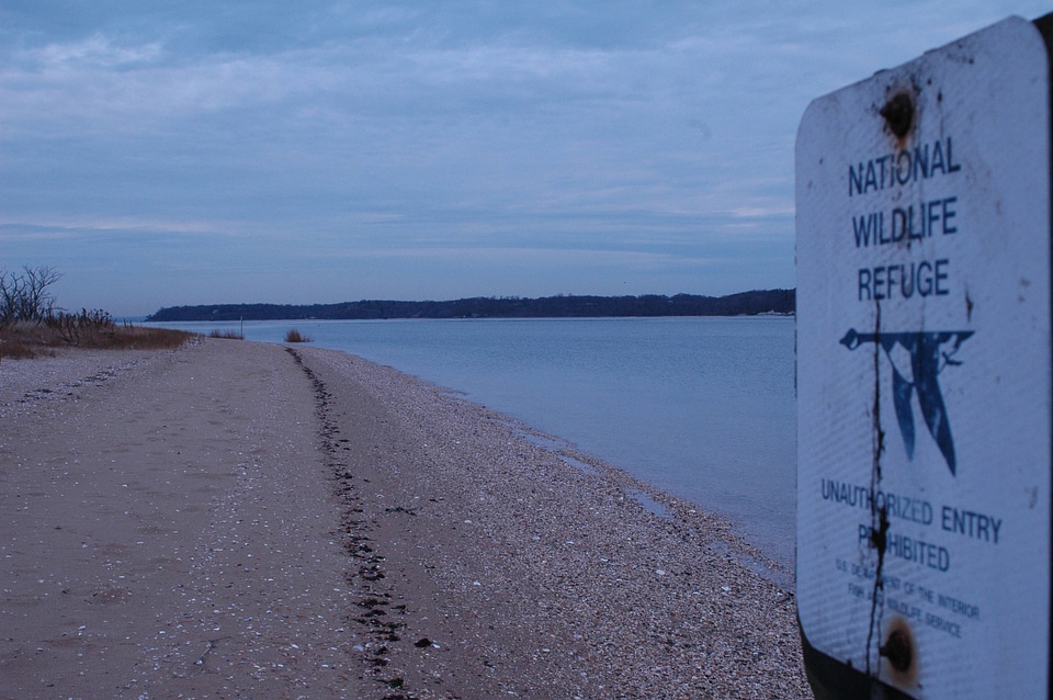 Refuge sign at Oyster Bay National Wildlife Refuge shore