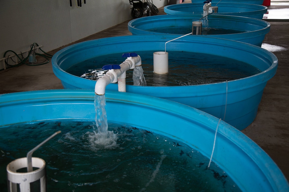 Round hatchery tanks-2