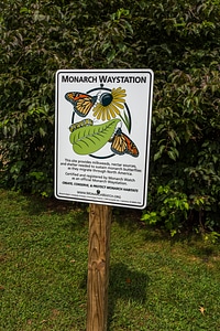 Monarch Waystation sign-2