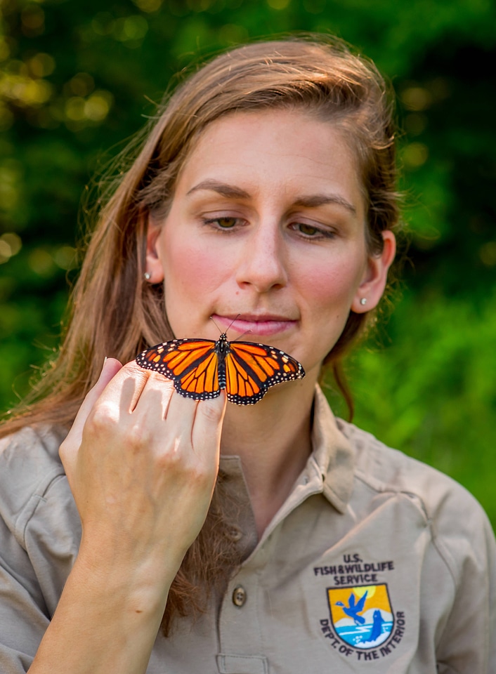 Service employee with Monarch butterfly-2