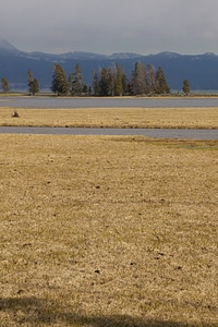 Scenic Yellowstone