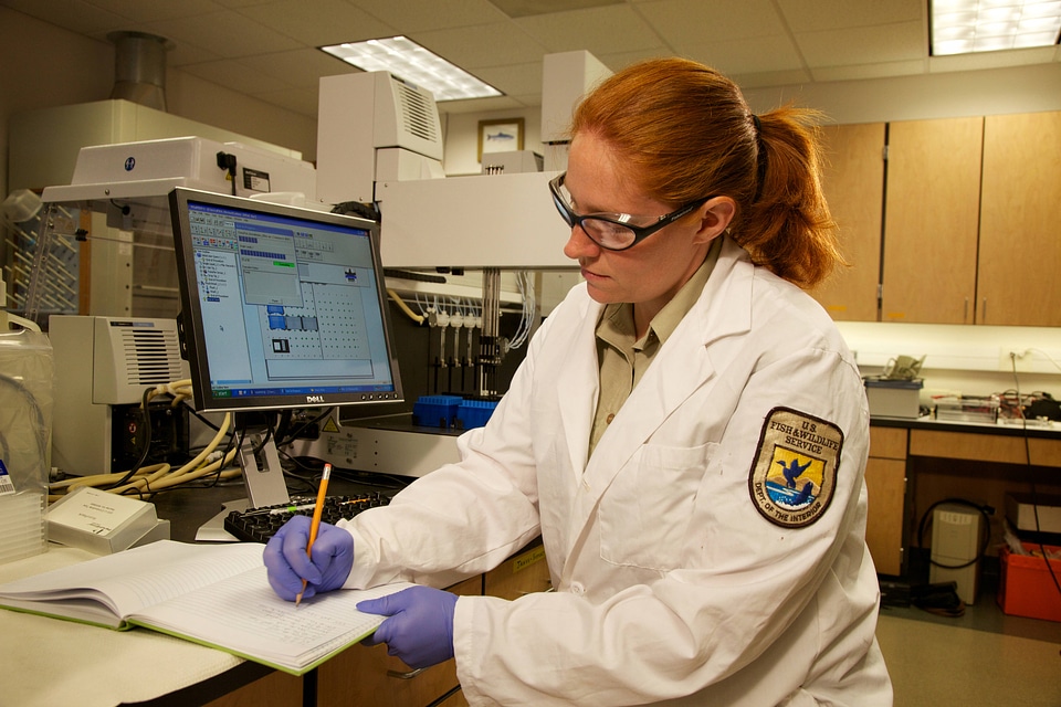 Laboratory analysis by Service geneticist-3