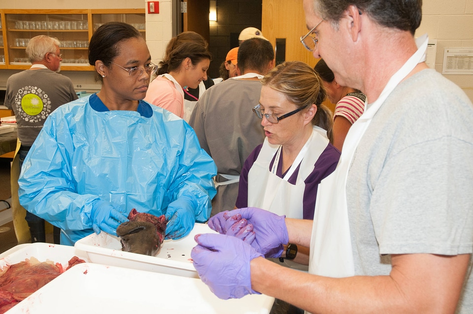 Marine Mammal Stranding Course at NCTC-4