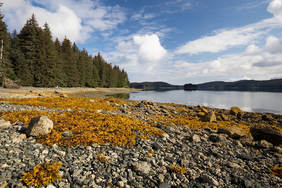 Scenic view of beautiful Kodiak National Wildlife Refuge-1