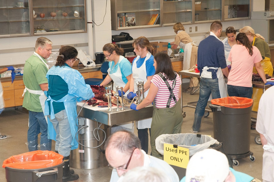 Marine Mammal Stranding Course at NCTC-4