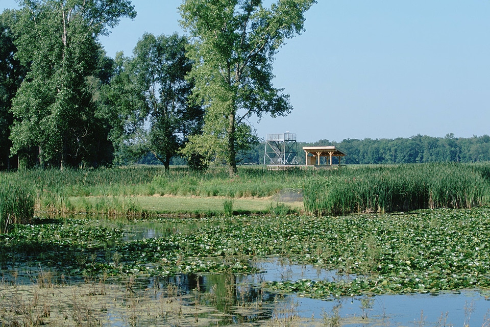 Observation tower at Montezuma National Wildlife Refuge