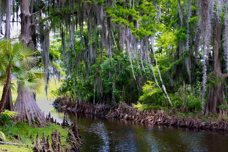 View of Lake Hatchineha from Creek Ranch