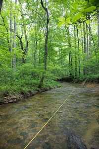 FWS employees surveying and assessing rivers and streams-1 photo