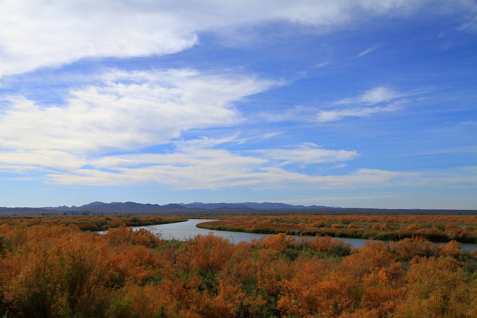 Cibola National Wildlife Refuge-2 photo