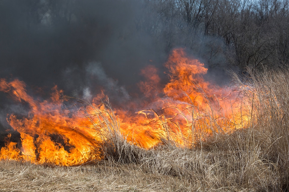 Prescribed burn at NCTC -1