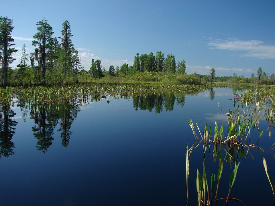 Okefenokee National Wildlife Refuge scenic