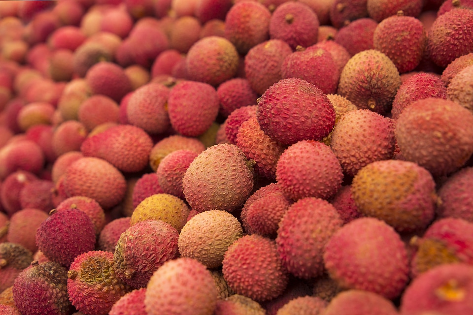 Food healthy tropical