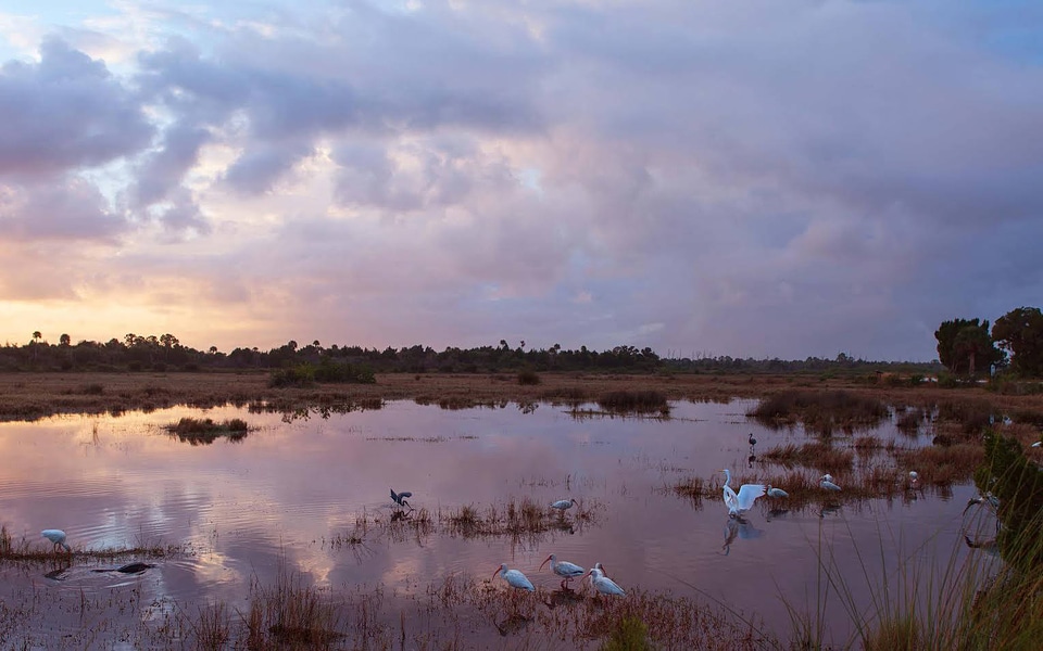 Merrit Island National Wildlife Refuge