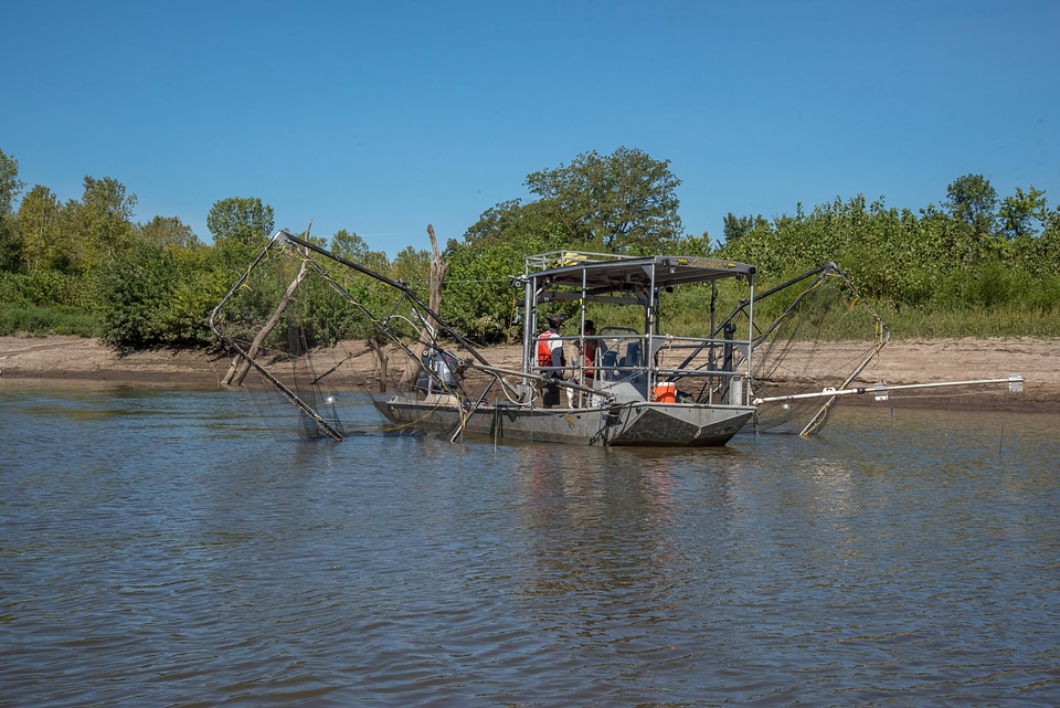 U.S. Fish and Wildlife Service boat, The Magna Carpa, searching for invasive carp-2