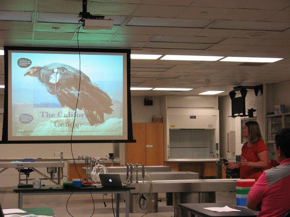 San Diego Zoo Institute for Conservation Research in the Science laboratory-2