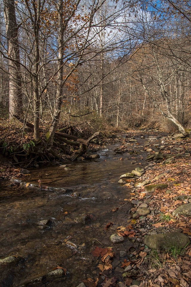 Scenic of Seneca Creek