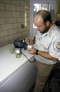 FWS Biologist Works in Craig Brook National Fish Hatchery photo