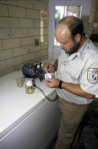 FWS Biologist Works in Craig Brook National Fish Hatchery