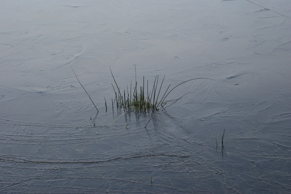 Pond cold freeze