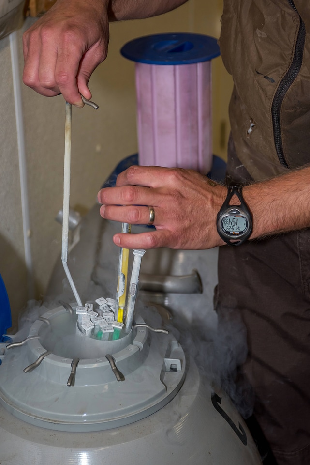 Cryogenic tanks for Pallid sturgeon sperm-2