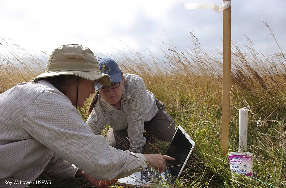 Groundwater Monitoring photo