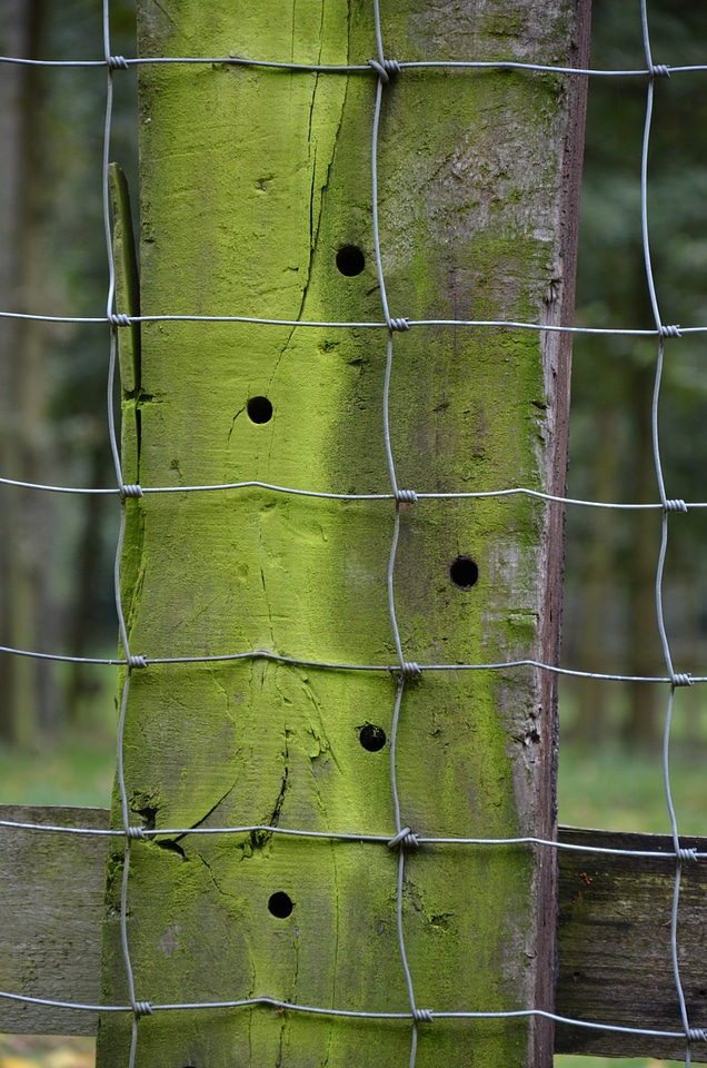 Pile wood wire