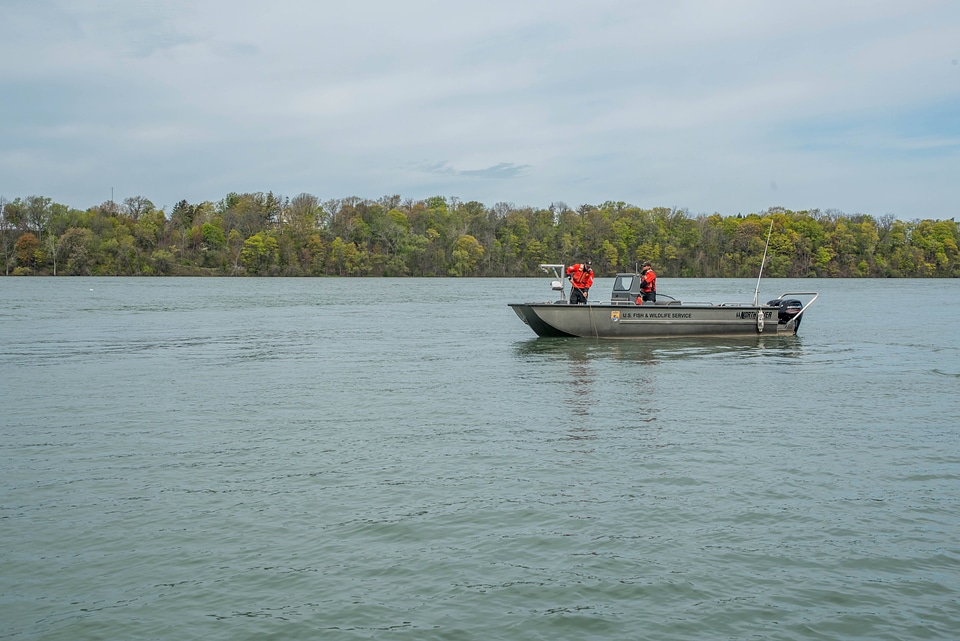 USFWS Fisheries crew in boat preparing for lake sturgeon field work-1