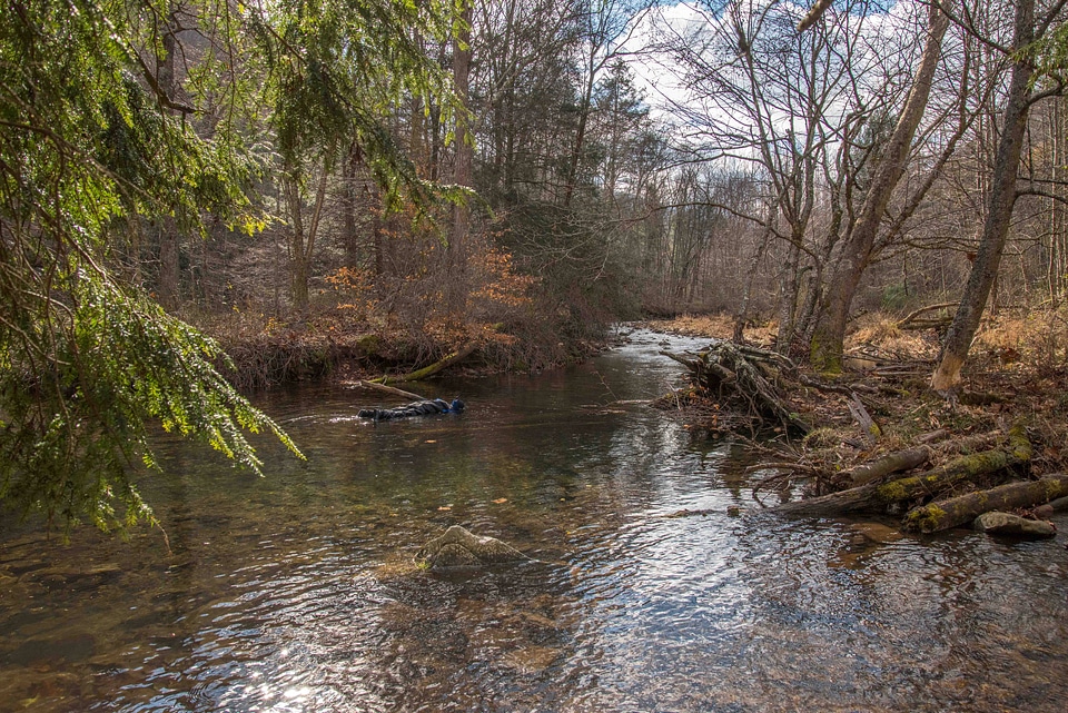 Photographer taking pictures of brook trout in Seneca Creek-2