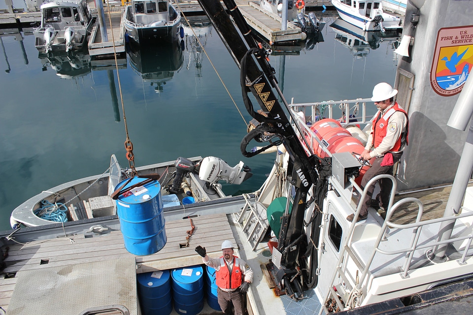 Research vessel, Ursa Major II