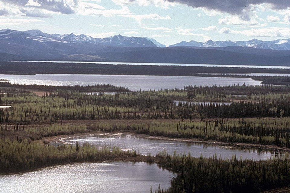 Chisana and Nabesna Rivers