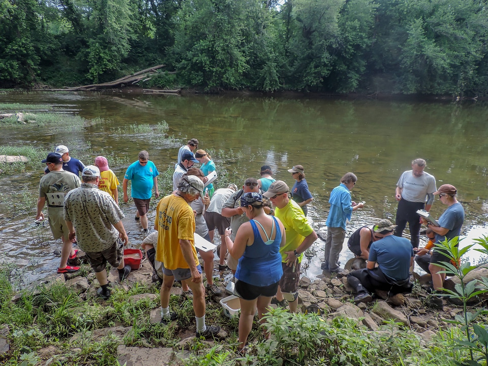 Students examine freshwater mussels on shore-2