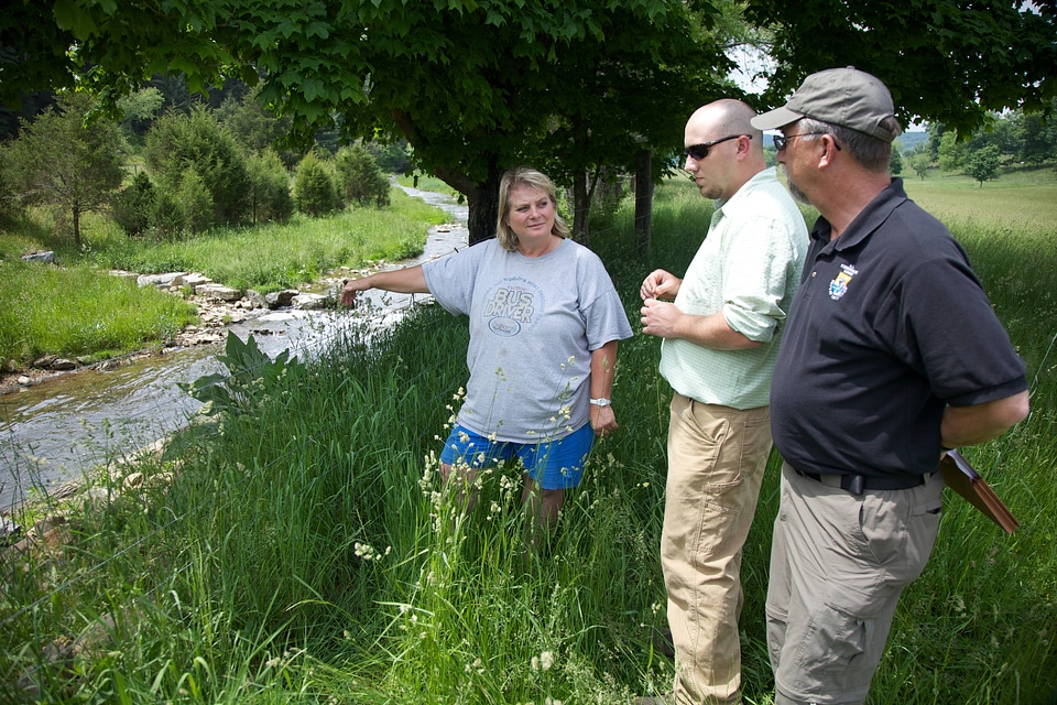 Brook Trout Restoration-1