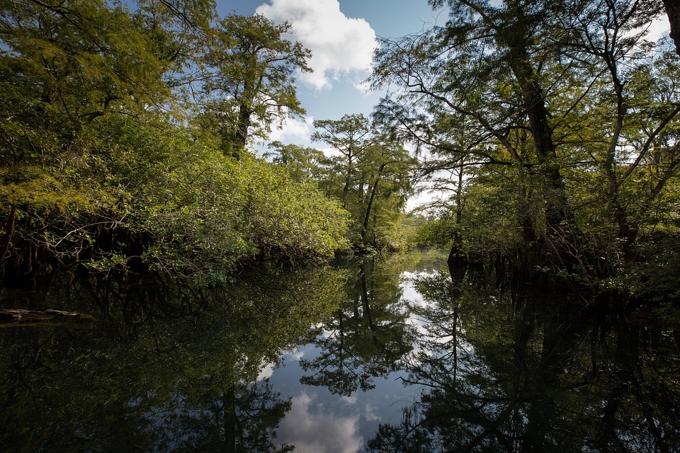 Choctawhatchee River-1