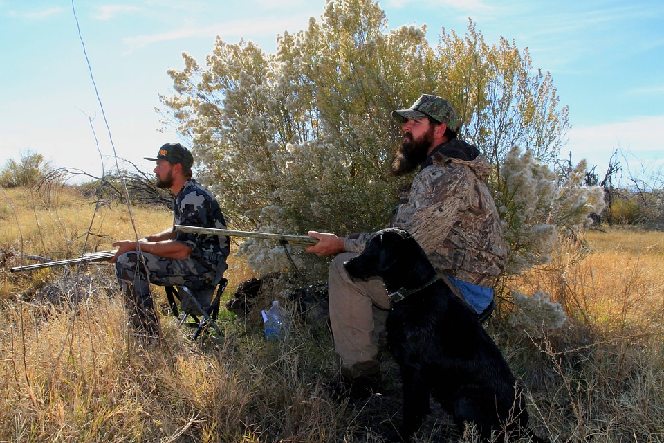 Duck hunters with dog-1
